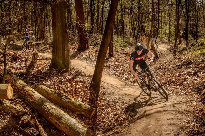 MTB Utrechtseheuvelrug, foto Pieter van Leeuwen